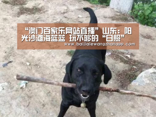澳门百家乐网站