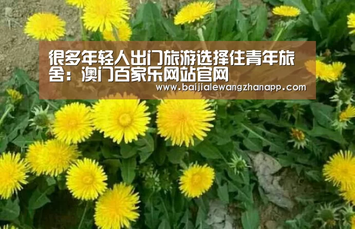 澳门百家乐网站