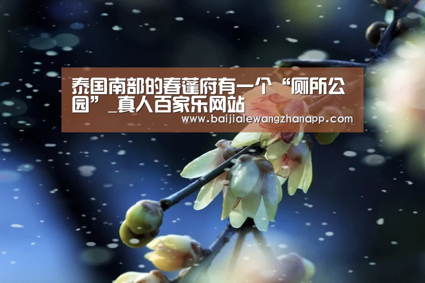 泰国南部的春蓬府有一个“厕所公园”_真人百家乐网站(图4) 澳门百家乐网站